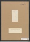 Diatomeae indet. Zeichnungen Sammlung Grunow Nr. 4409 (NHMW-BOT-W0372573)